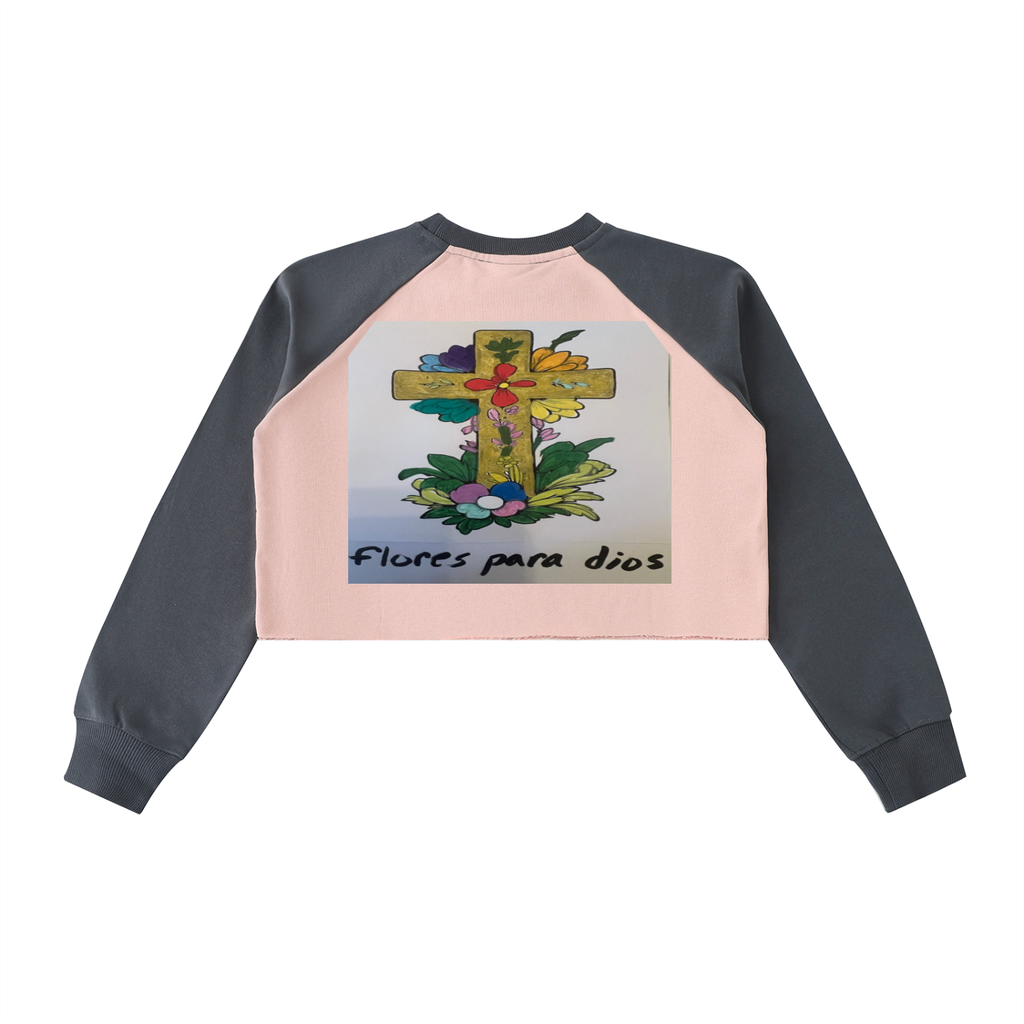 Raw-Hem Color-Block Raglan Crop Sweatshirt
