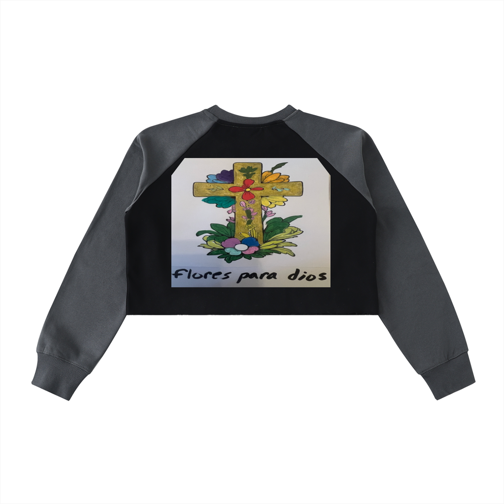 Raw-Hem Color-Block Raglan Crop Sweatshirt