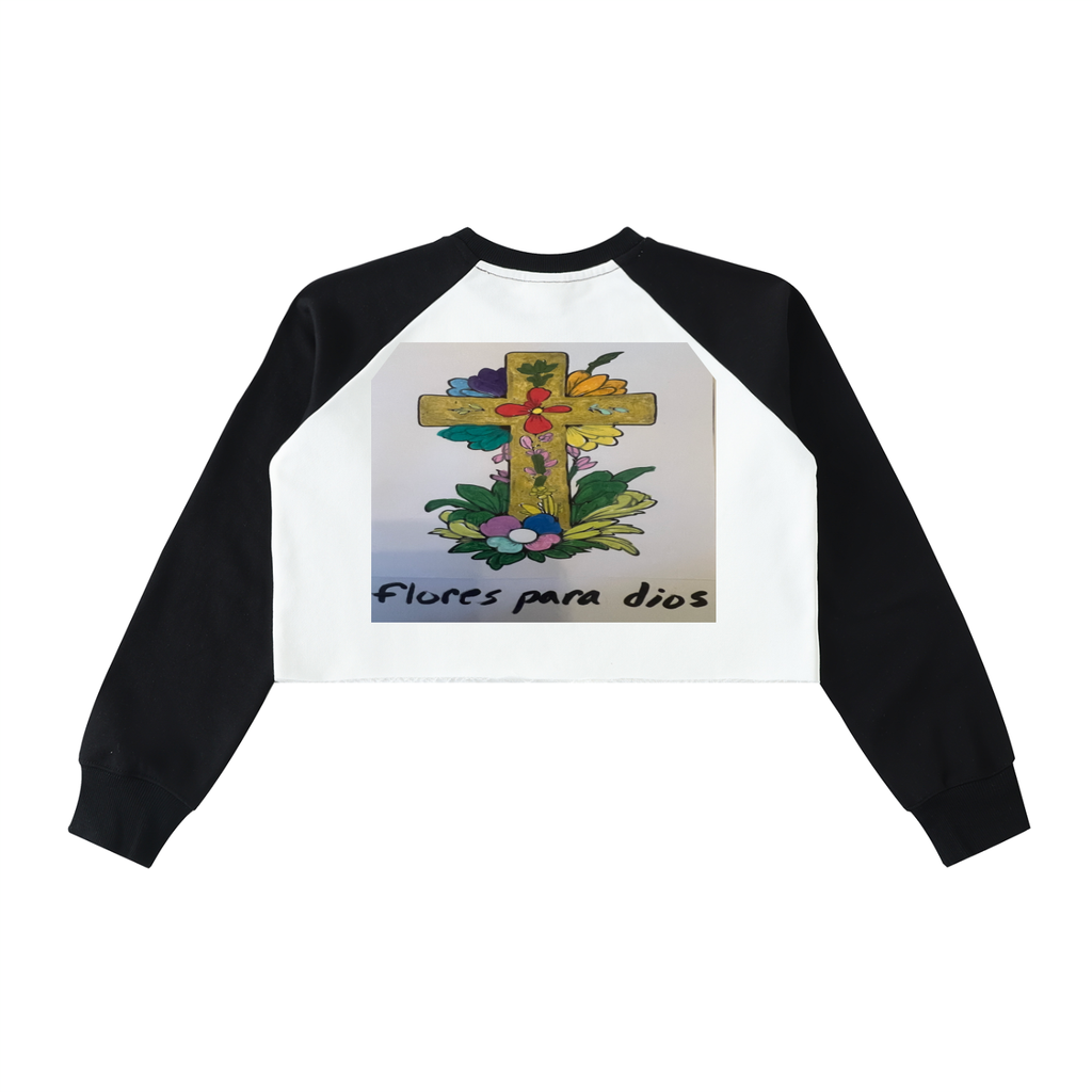 Raw-Hem Color-Block Raglan Crop Sweatshirt