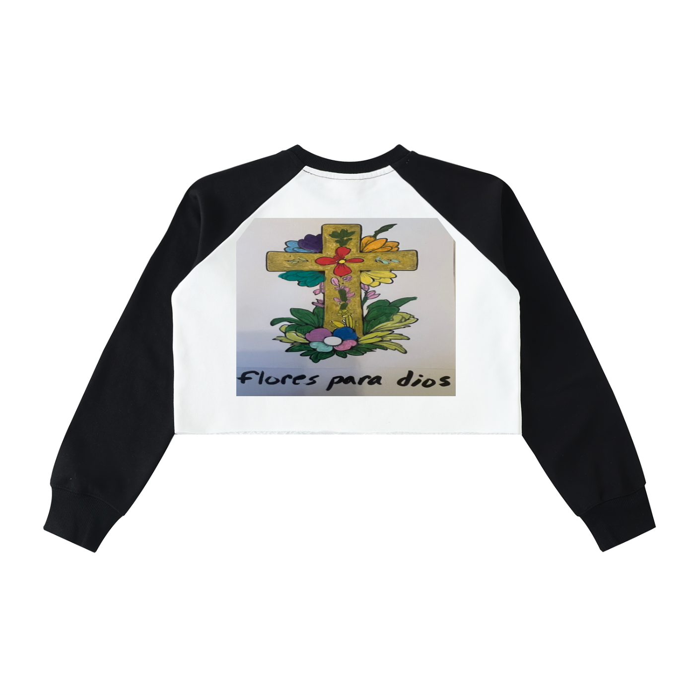 Raw-Hem Color-Block Raglan Crop Sweatshirt