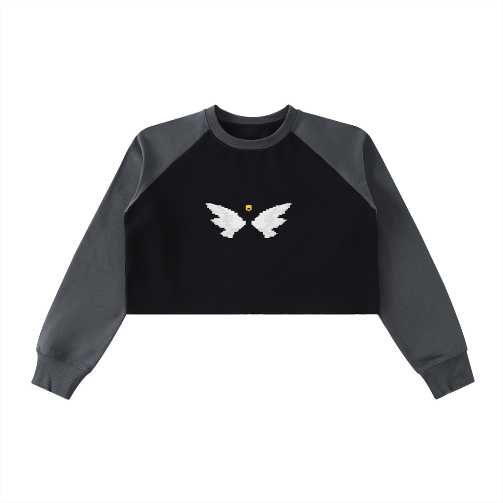Raw-Hem Color-Block Raglan Crop Sweatshirt